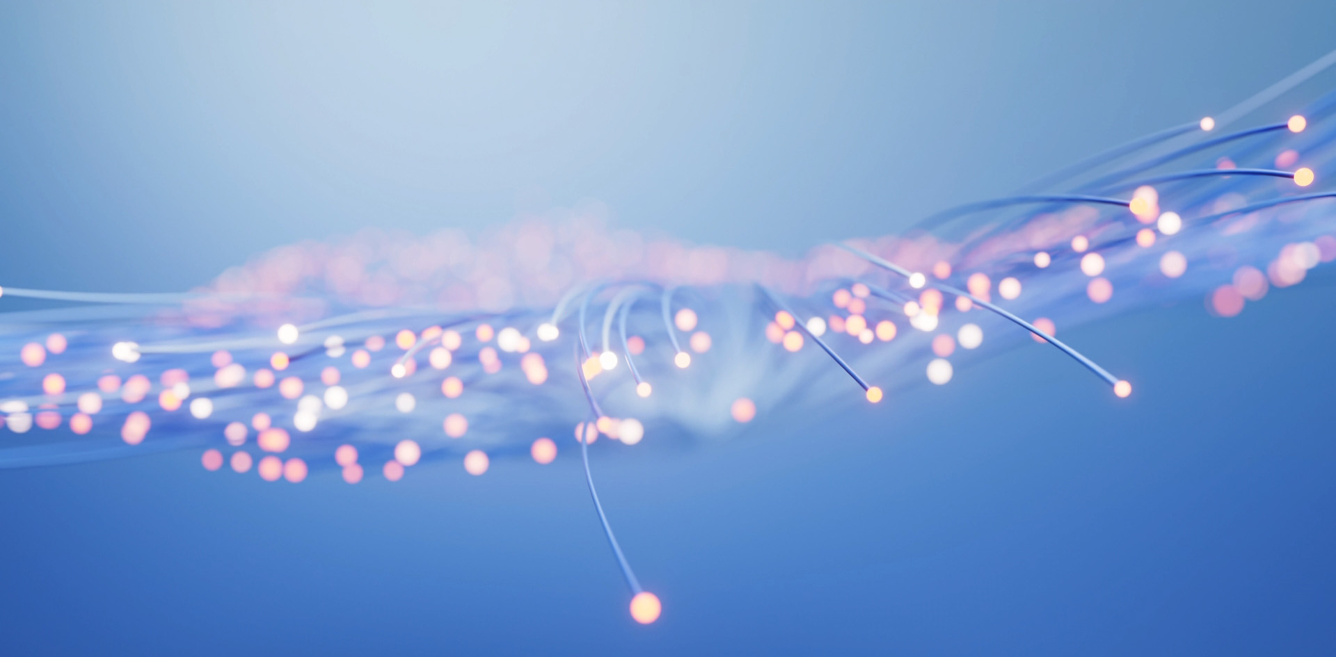 關於達格網頁設計公司